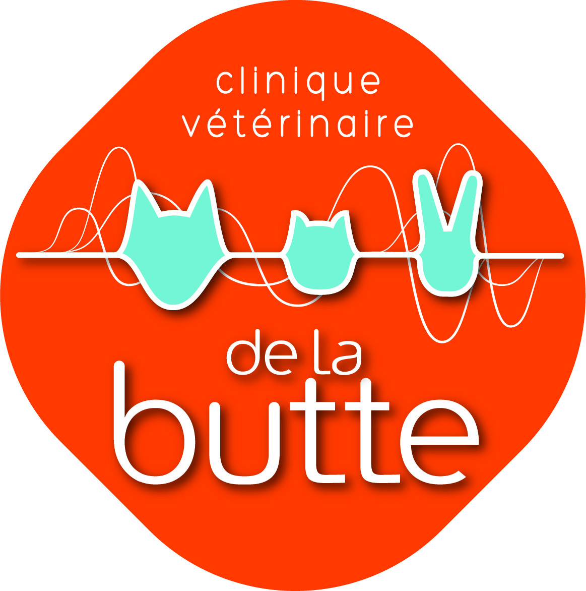 CLINIQUE VETERINAIRE DE LA BUTTE